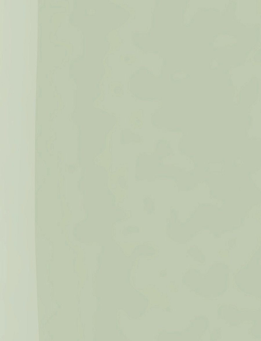 IsaDora - The Wonder Nail Polish Quick dry & Longwear 146 Pale Sage - makeup - pale sage - 5