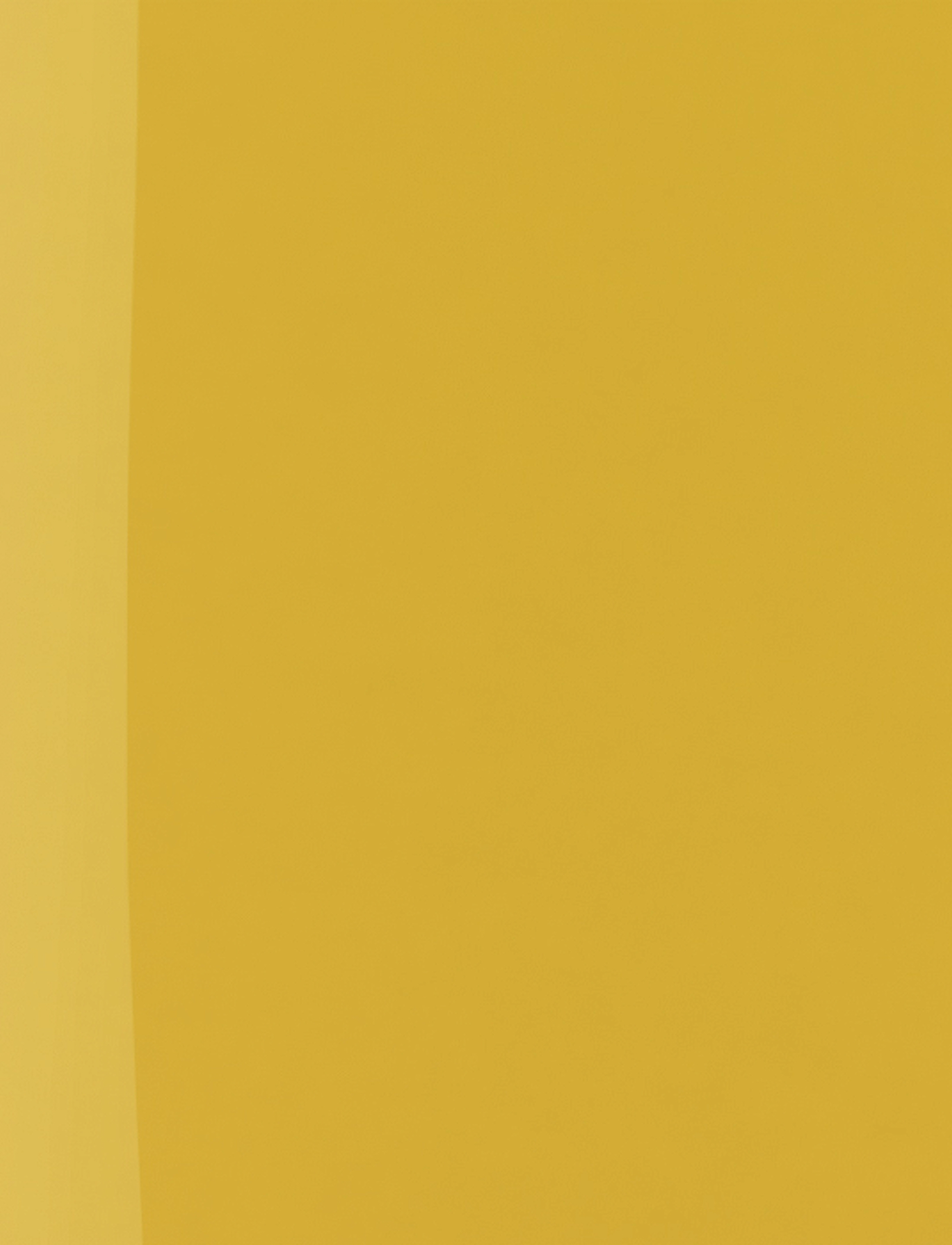 IsaDora - The Wonder Nail Polish Quick dry & Longwear 214 Ginger Yellow - makeup - ginger yellow - 5