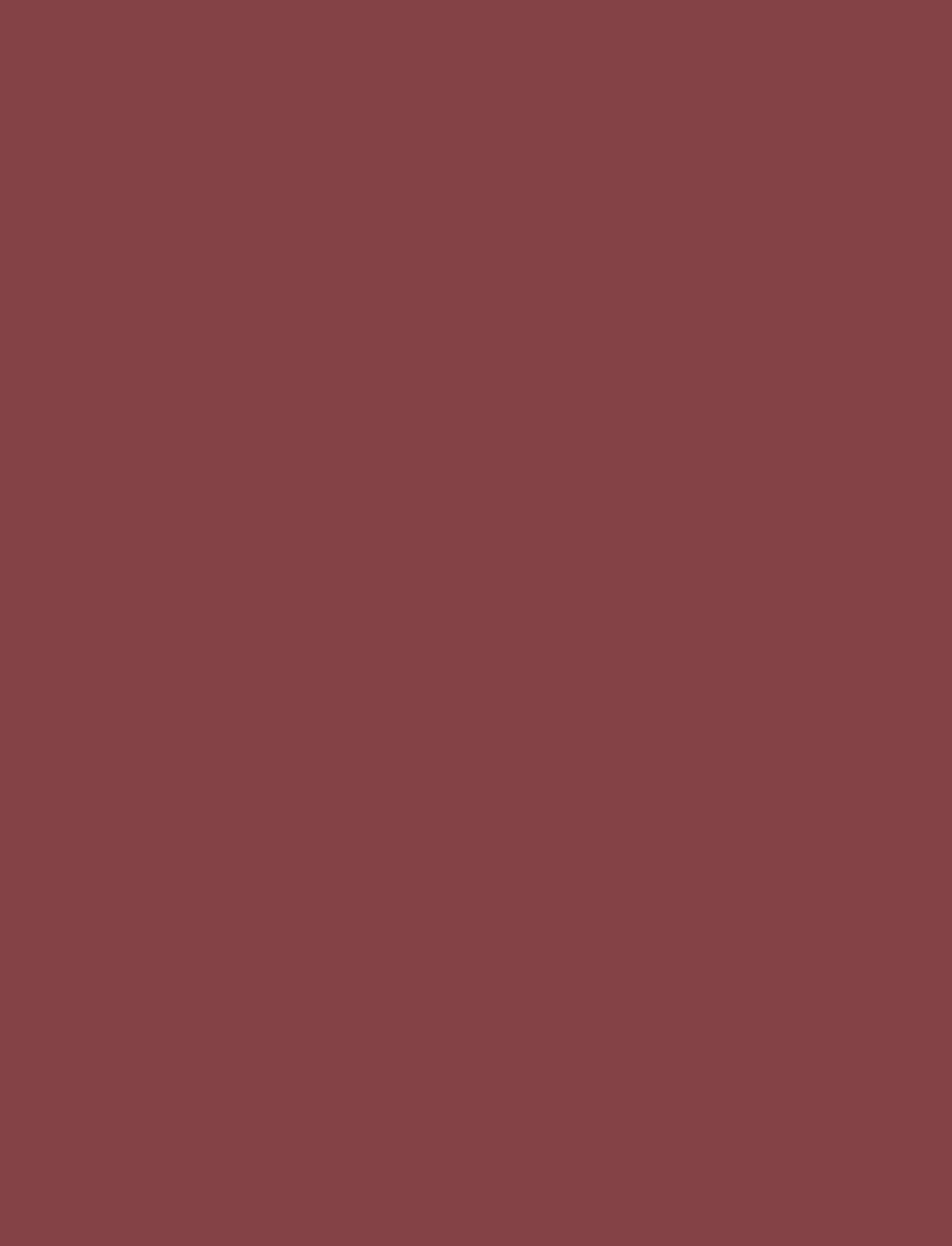 IsaDora - The Matte Lipstick 19 Real Crimson - makeup - real crimson - 5