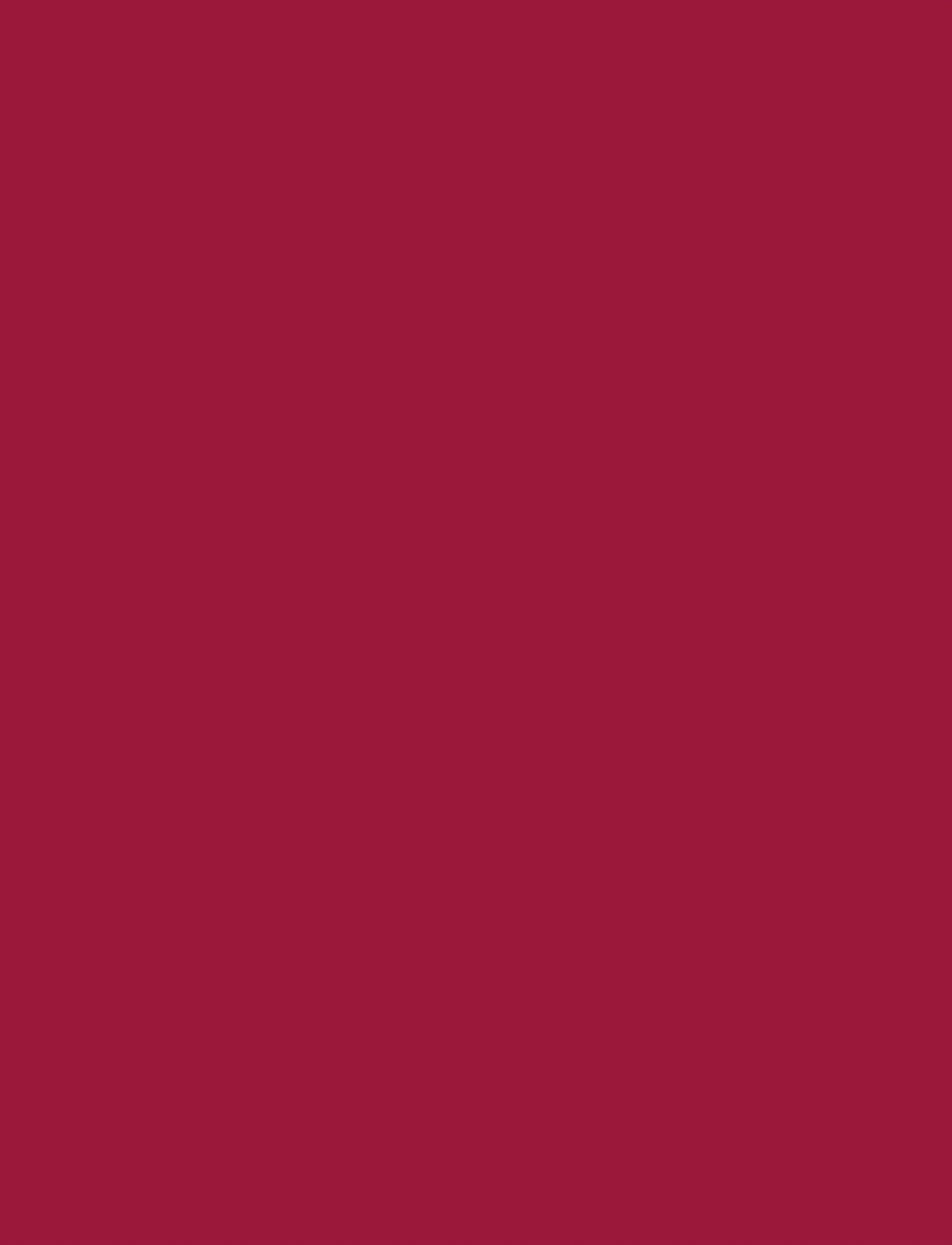 IsaDora - The Matte Lipstick 22 Power Red - læbeprodukter - power red - 5