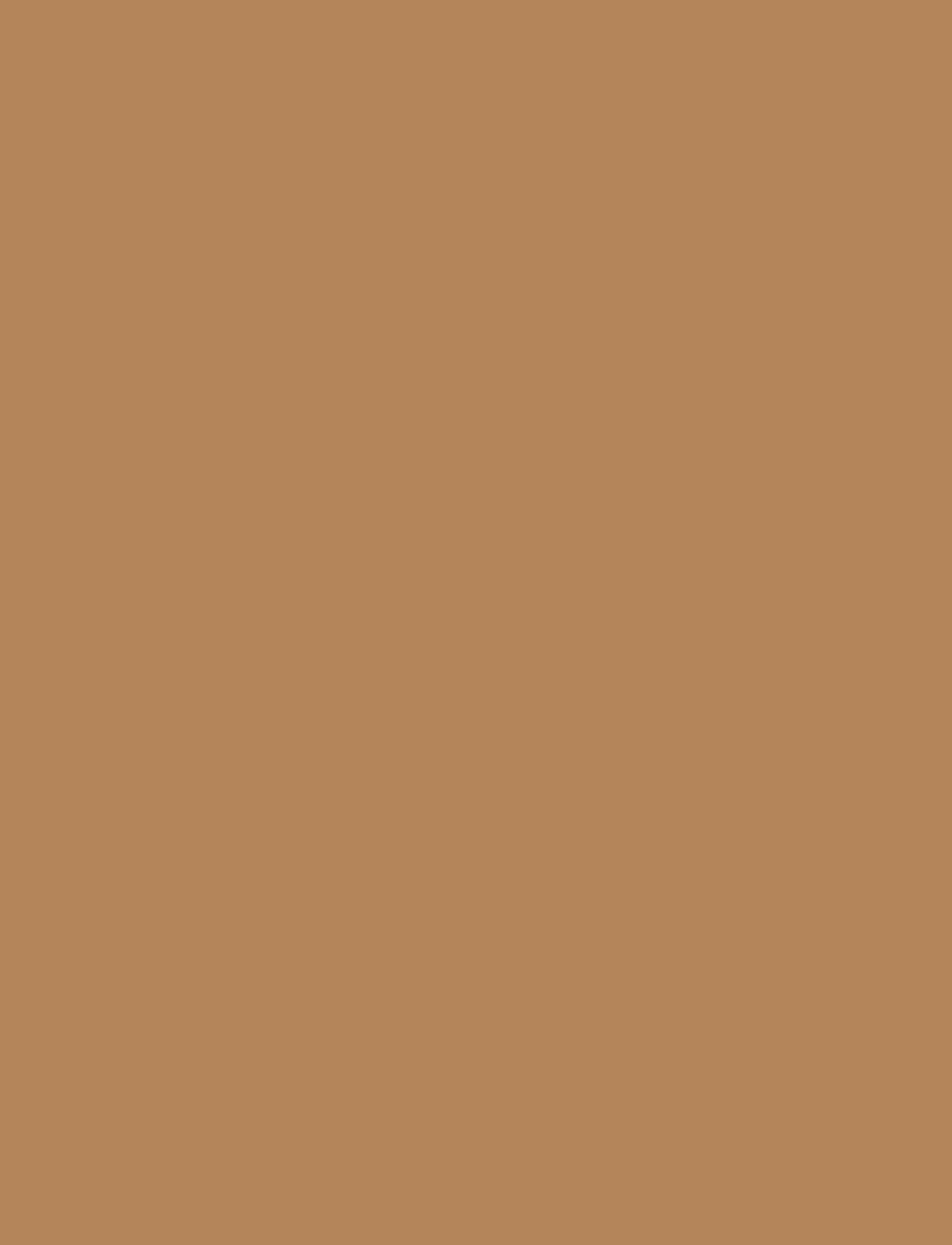 IsaDora - The No Compromise Matte Longwear Powder 70 Neutral Tan - makeup - neutral tan - 4