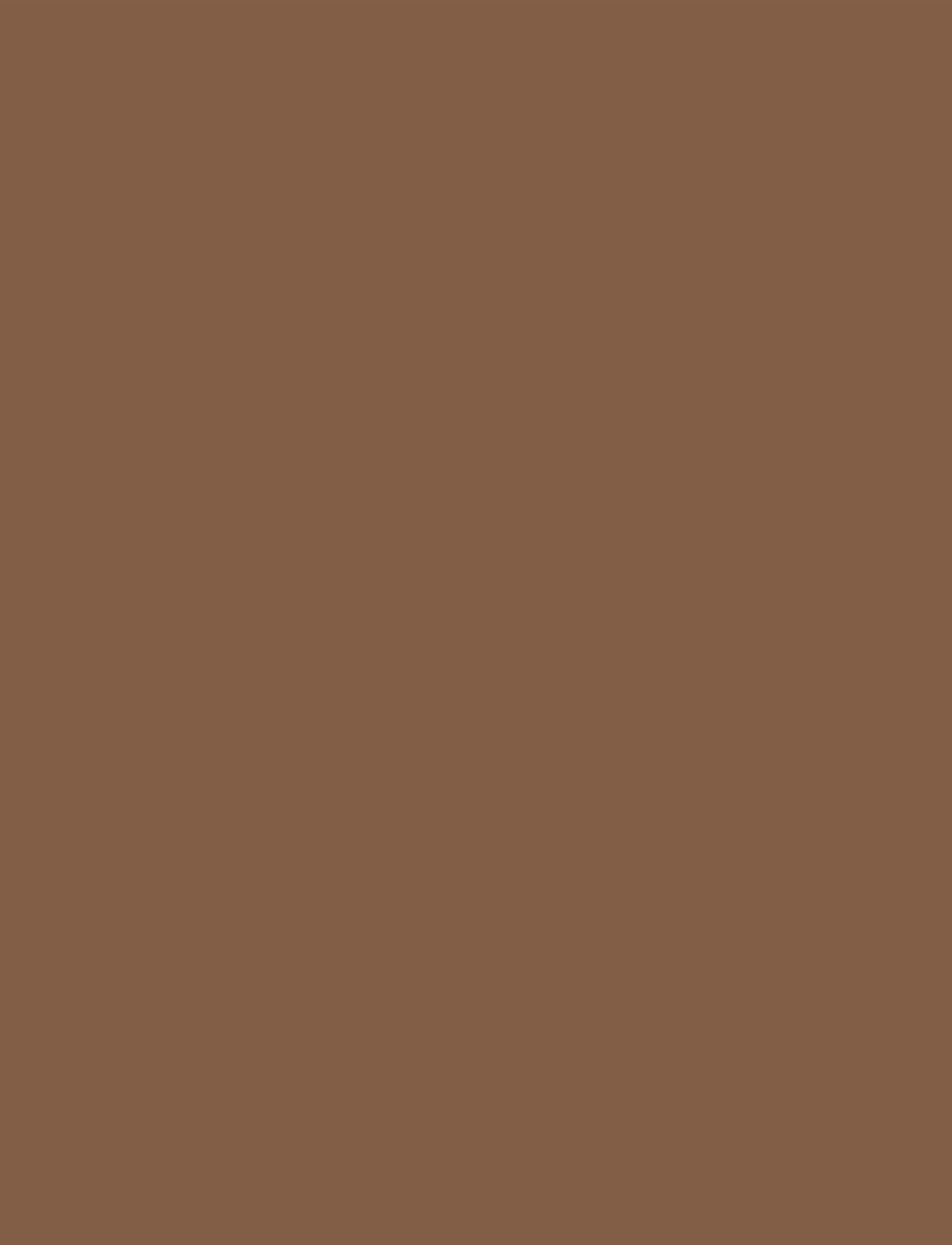 IsaDora - The No Compromise Matte Longwear Powder 72 Neutral Deep - makeup - neutral deep - 4
