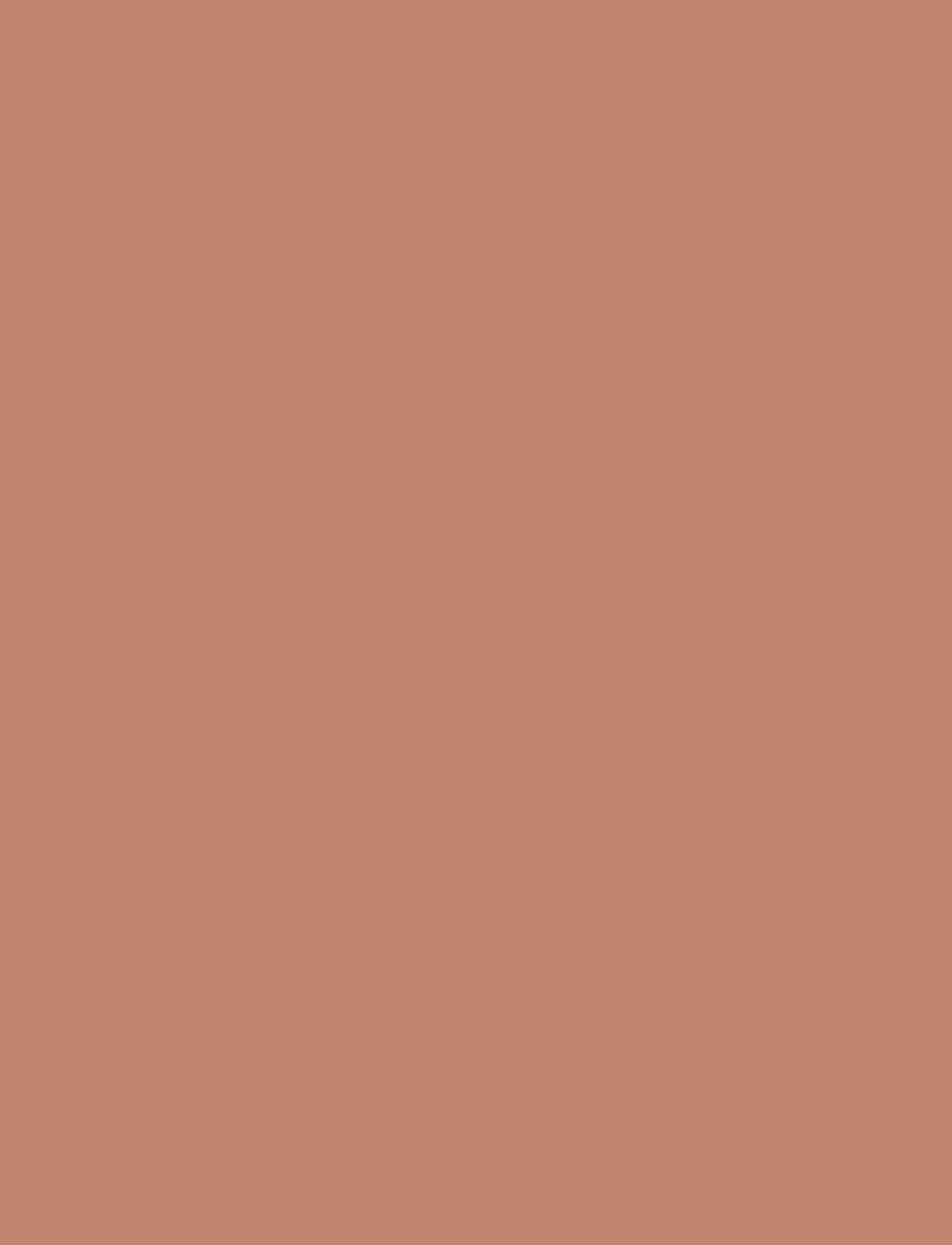 IsaDora - The Powder Blush 01 Warm Tan - smink - warm tan - 5