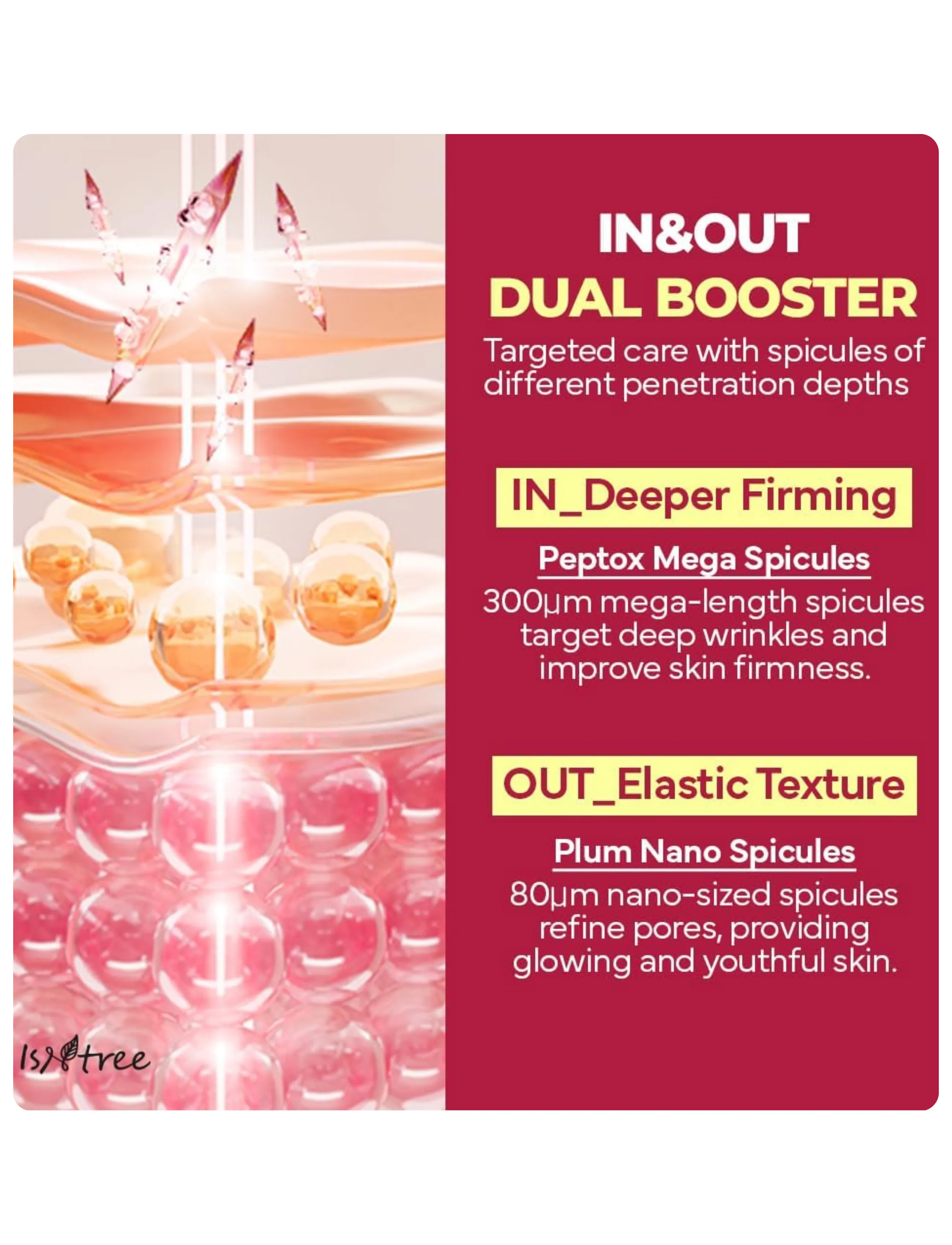 Isntree - Plum Peptide Booster 2000s - serum - clear - 3