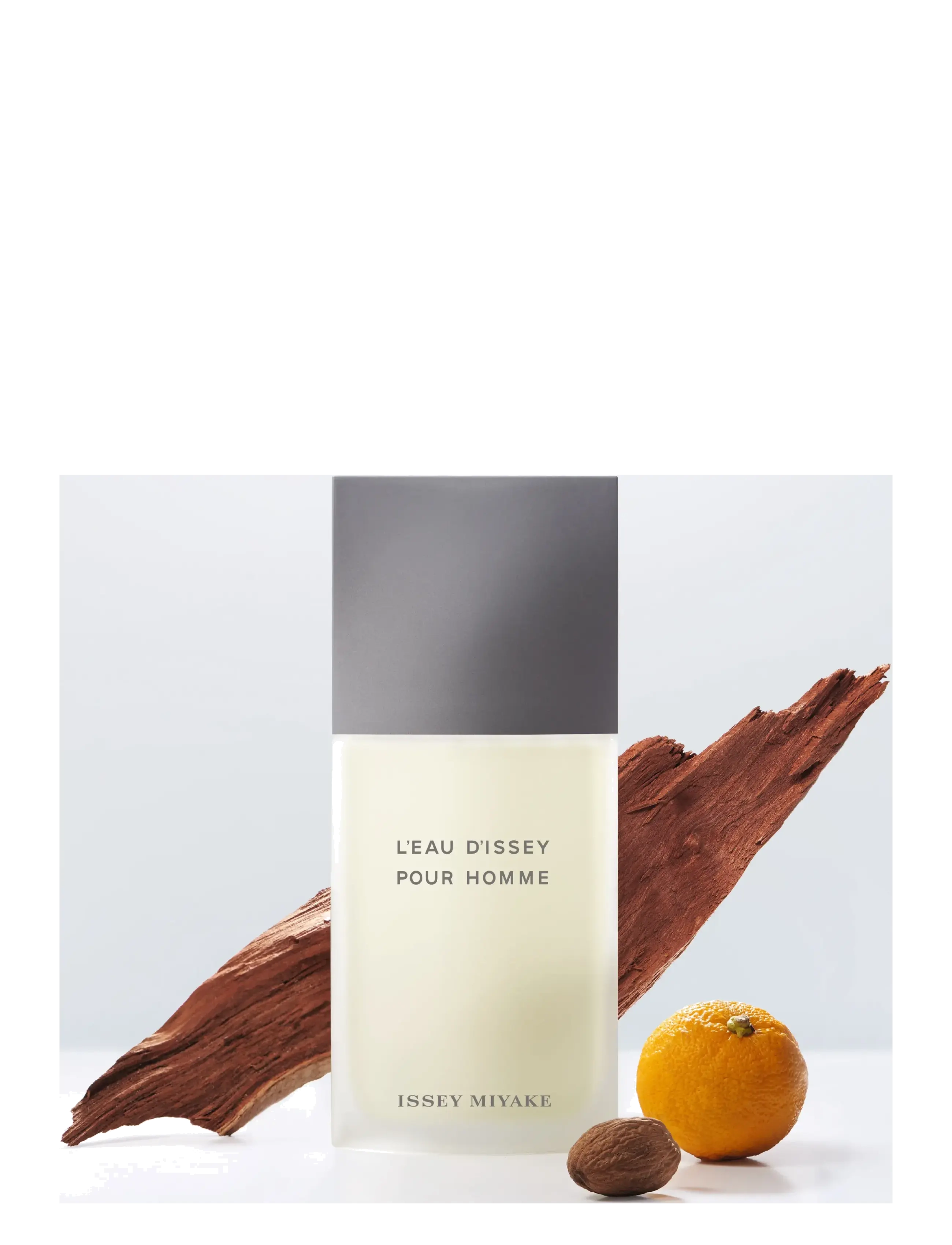 L'eau D'issey Pour Homme Edt 2