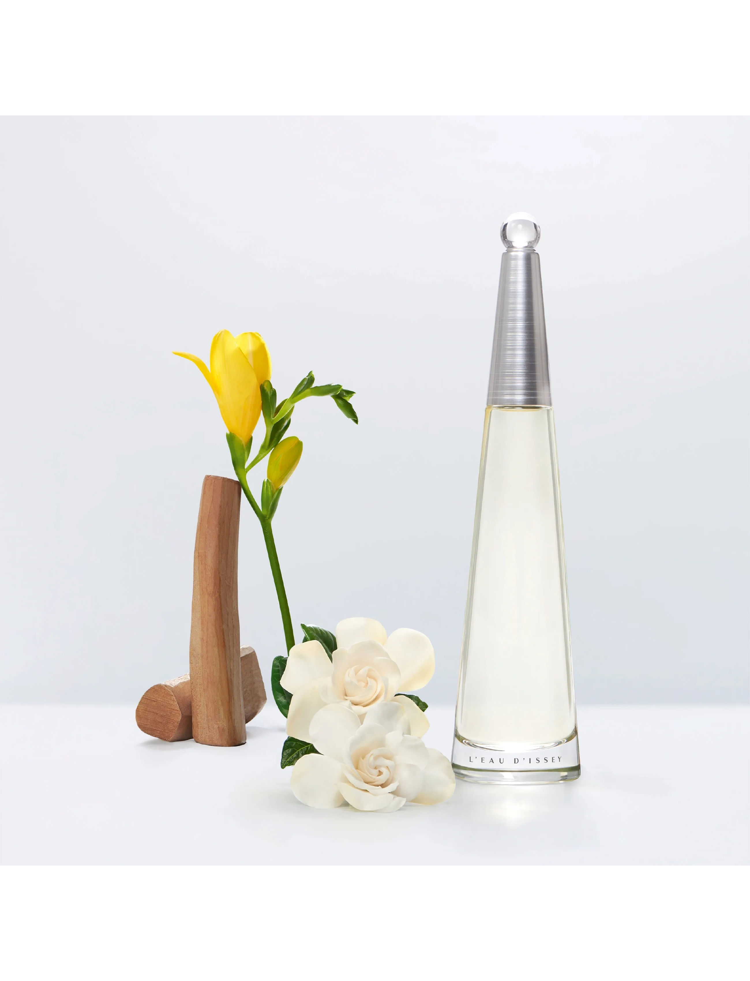 Issey Miyake - L'Eau d'Issey EdP - over 500 kr - clear - 1