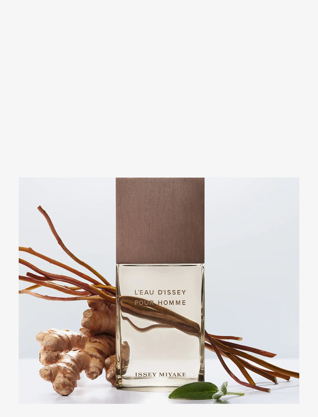 Issey Miyake - L'Eau d'Issey Vetiver EdT - til ham  - clear - 1