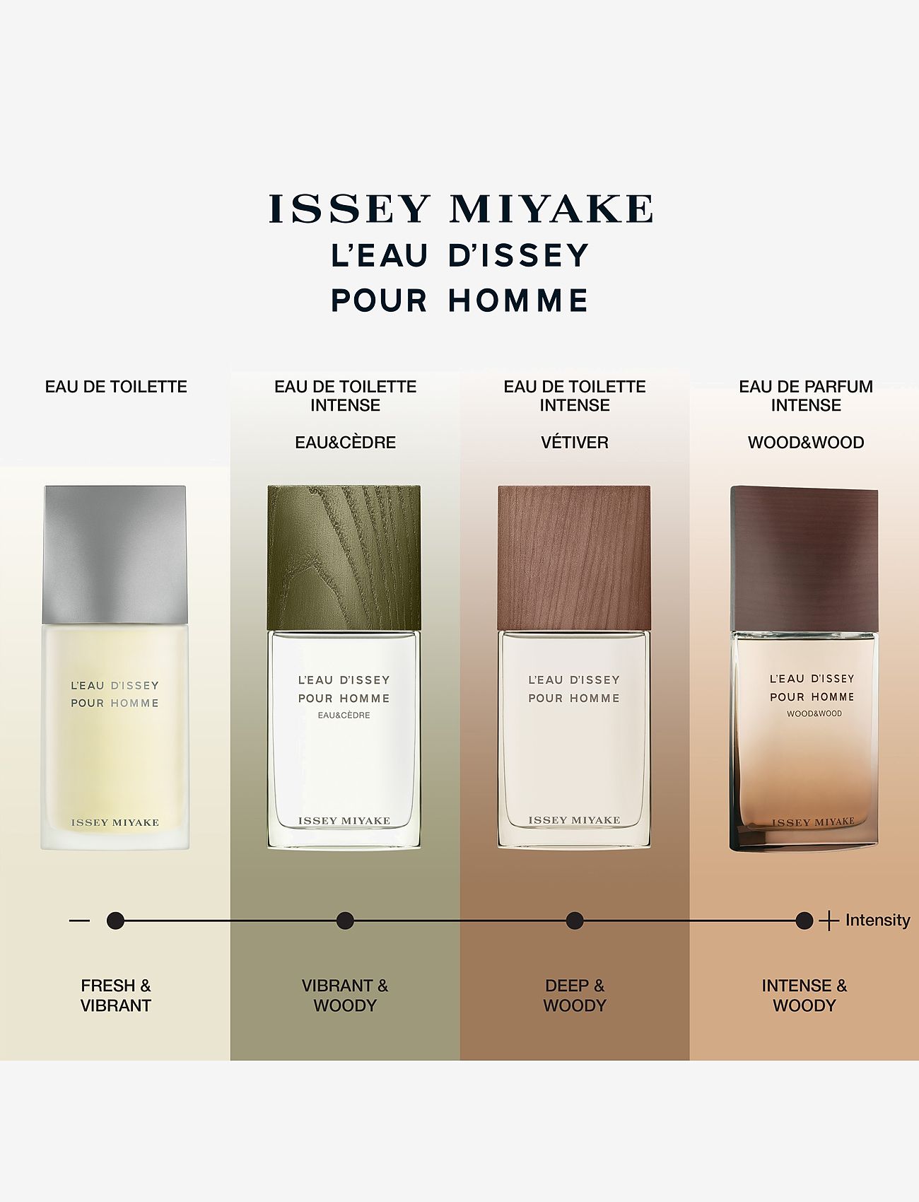 Issey Miyake - L'Eau d'Issey Vetiver EdT - til ham  - clear - 3