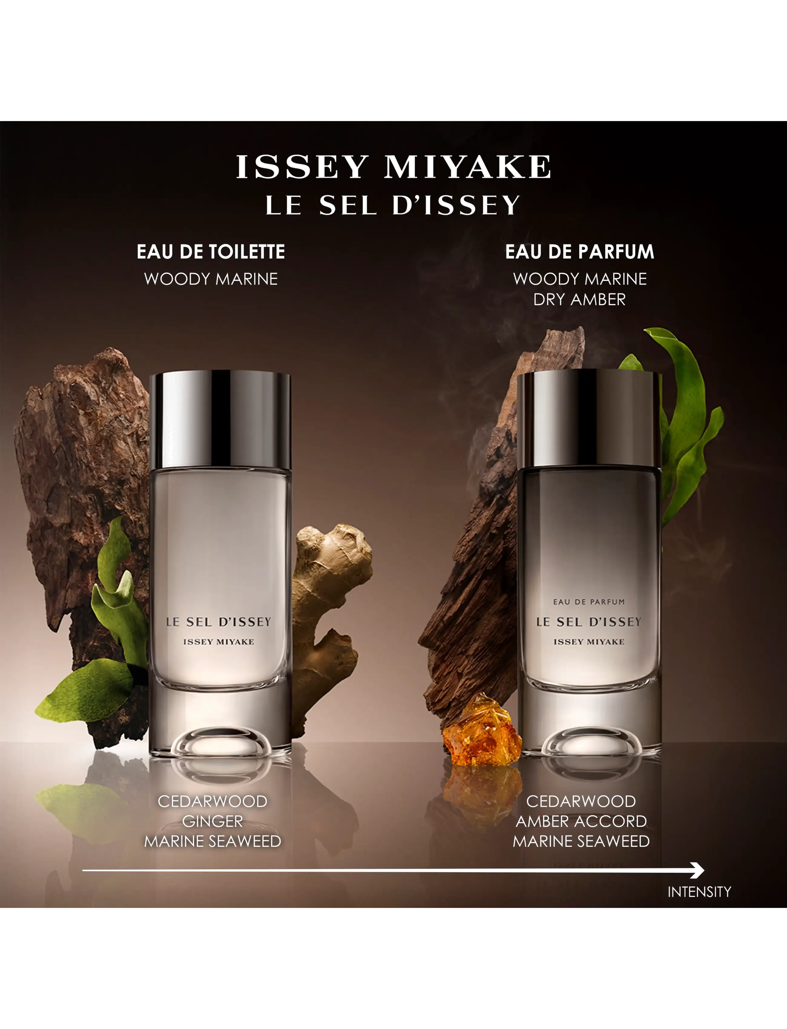 Issey Miyake Le Sel D'issey Gift Set parfym herr – bild 4