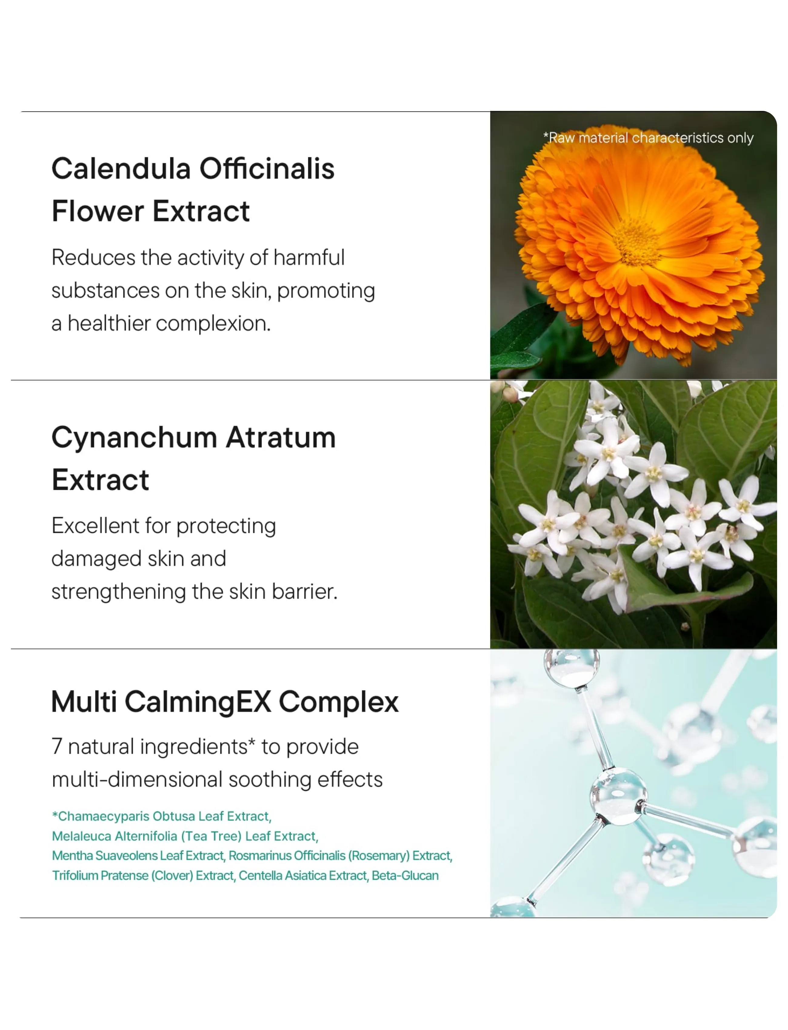 Iunik - Calendula Balancing Foam Gel Cleanser - foaming cleanser - clear - 5