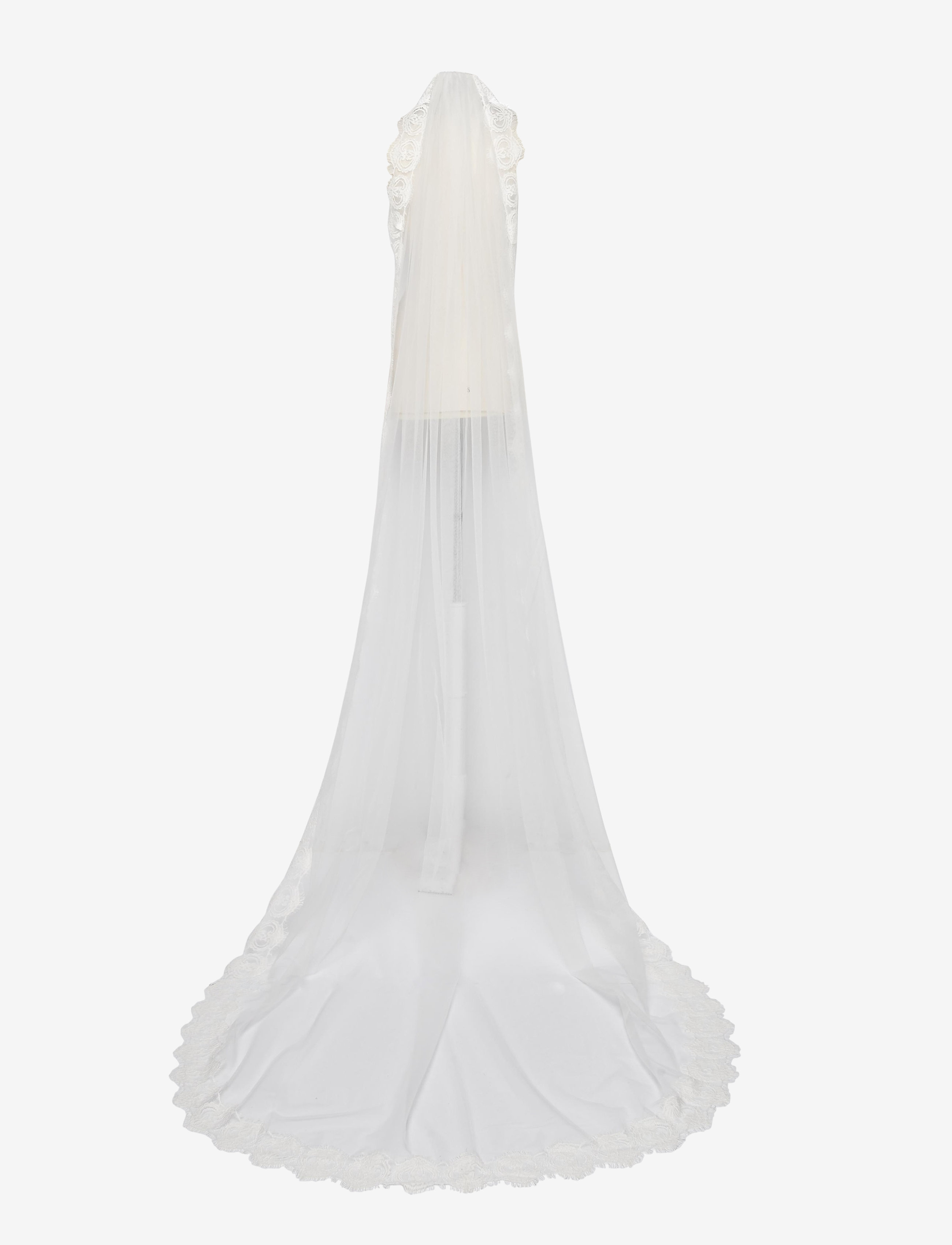 IVY OAK - VEIL EDERA - snow white - 1
