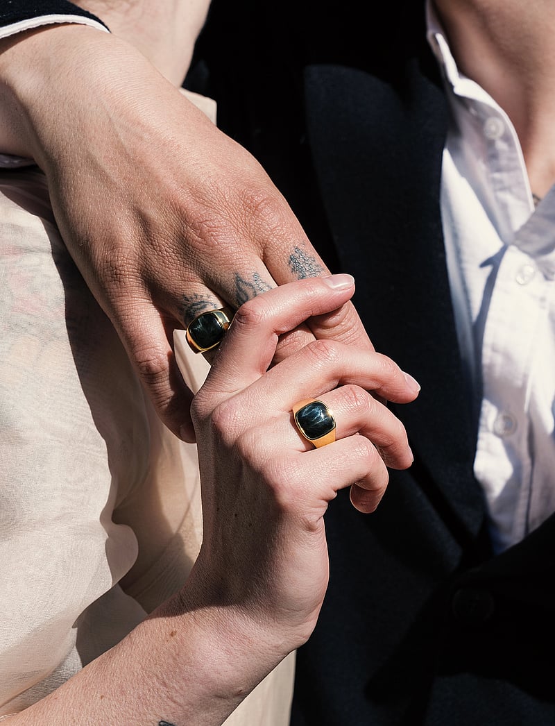 IX Studios - IX Cushion Signet Ring Hawks Eye - ringar - gold - 0