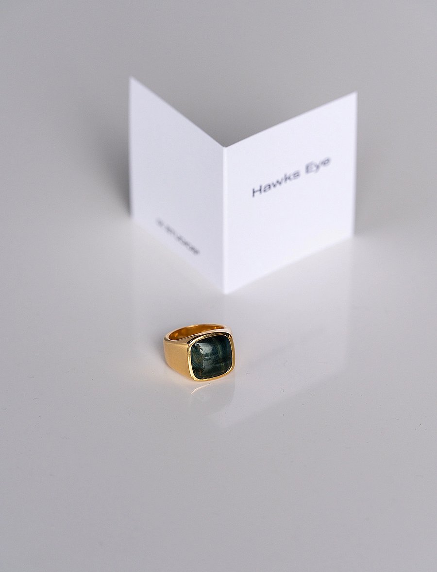 IX Studios - IX Cushion Signet Ring Hawks Eye - ringe - gold - 3