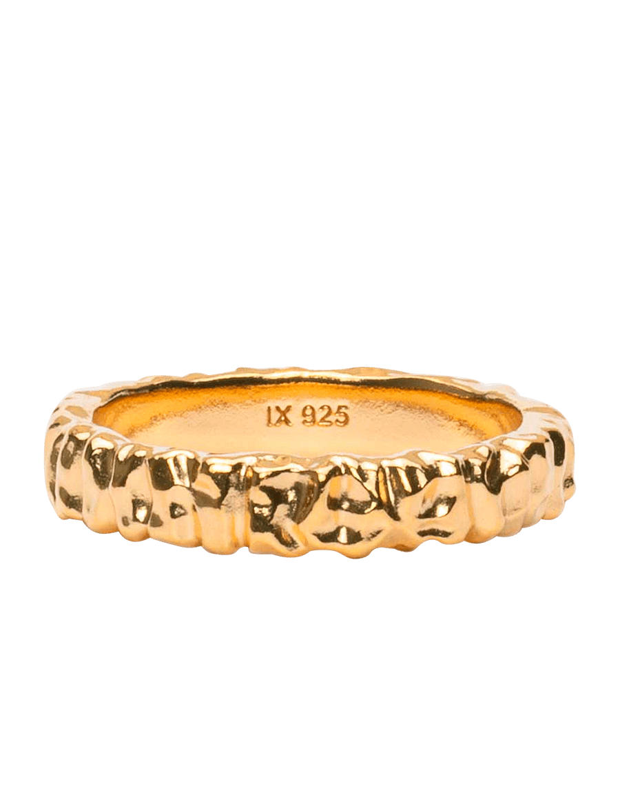 IX Studios - IX Crunchy Class Ring - ringer - gold - 1