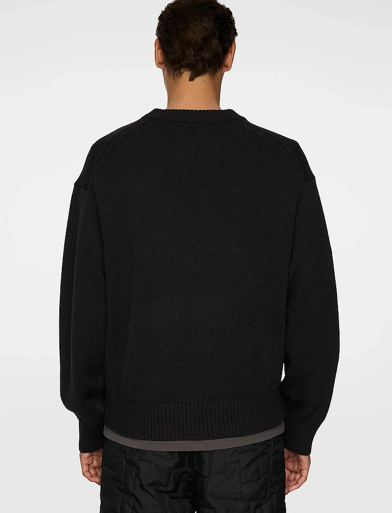 J. Lindeberg - Eddy Cotton Wool Crew Neck - Ümmarguse kaelusega kudumid - black - 3