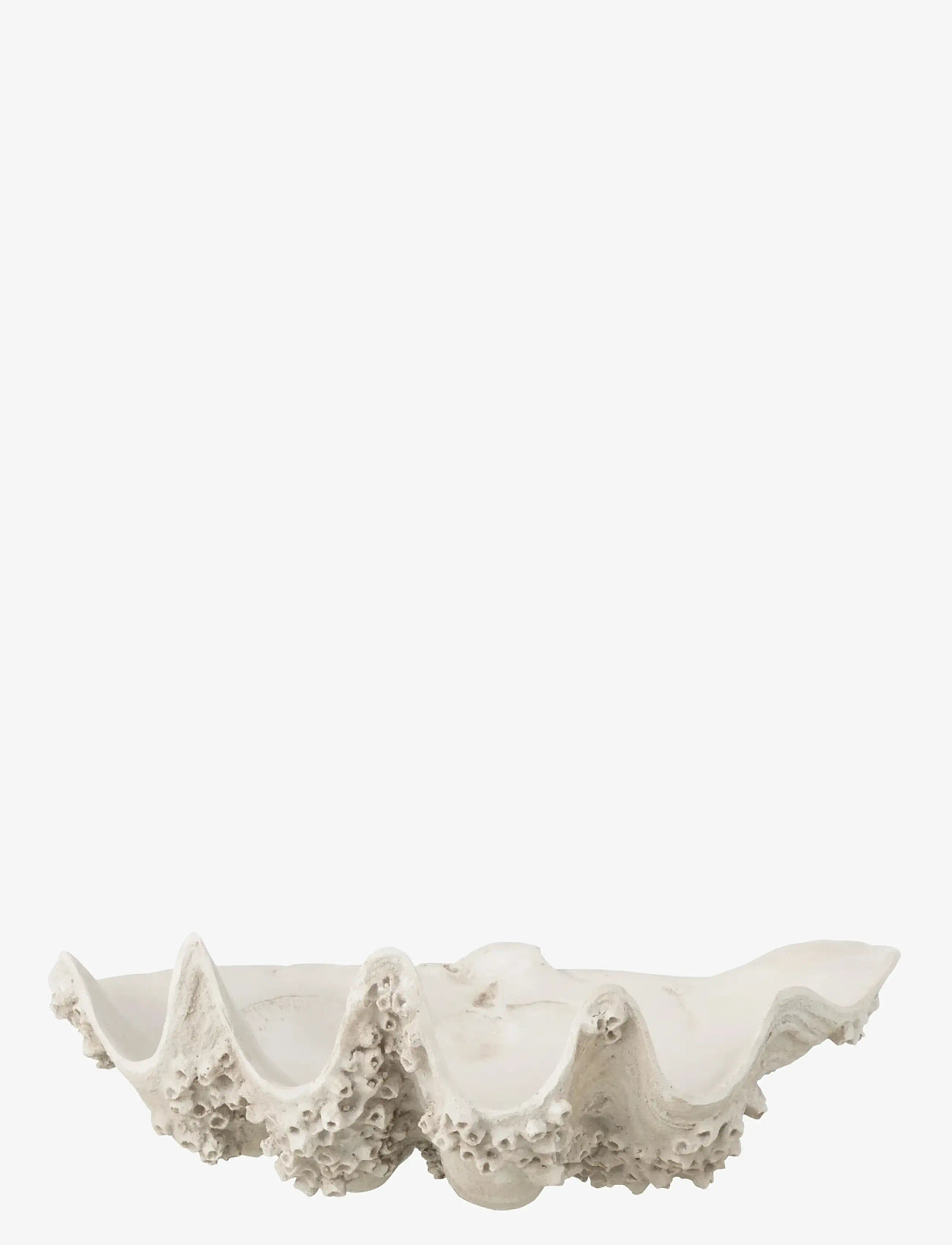 J-Line - DECO BOWL SEASHELL RES WH S - decorative platters - white - 1