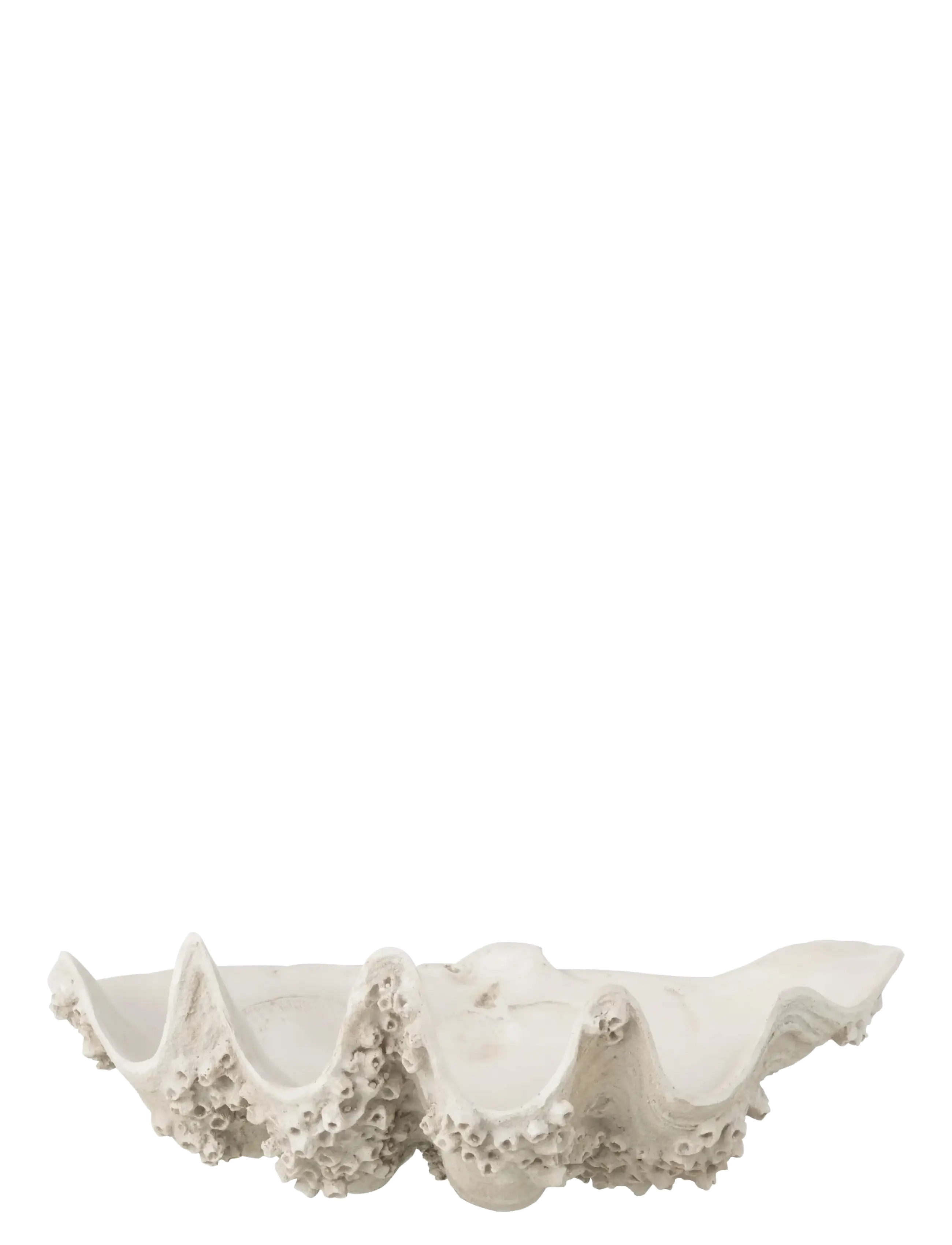J-Line DECO BOWL SEASHELL RES WH S - Nyheter - WHITE / white