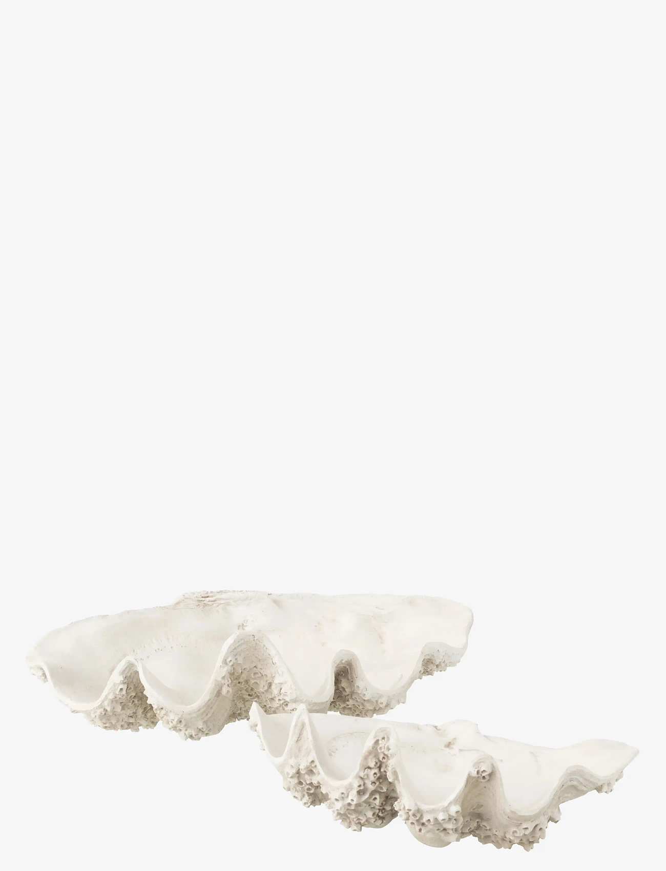 J-Line - DECO BOWL SEASHELL RES WH S - decorative platters - white - 2