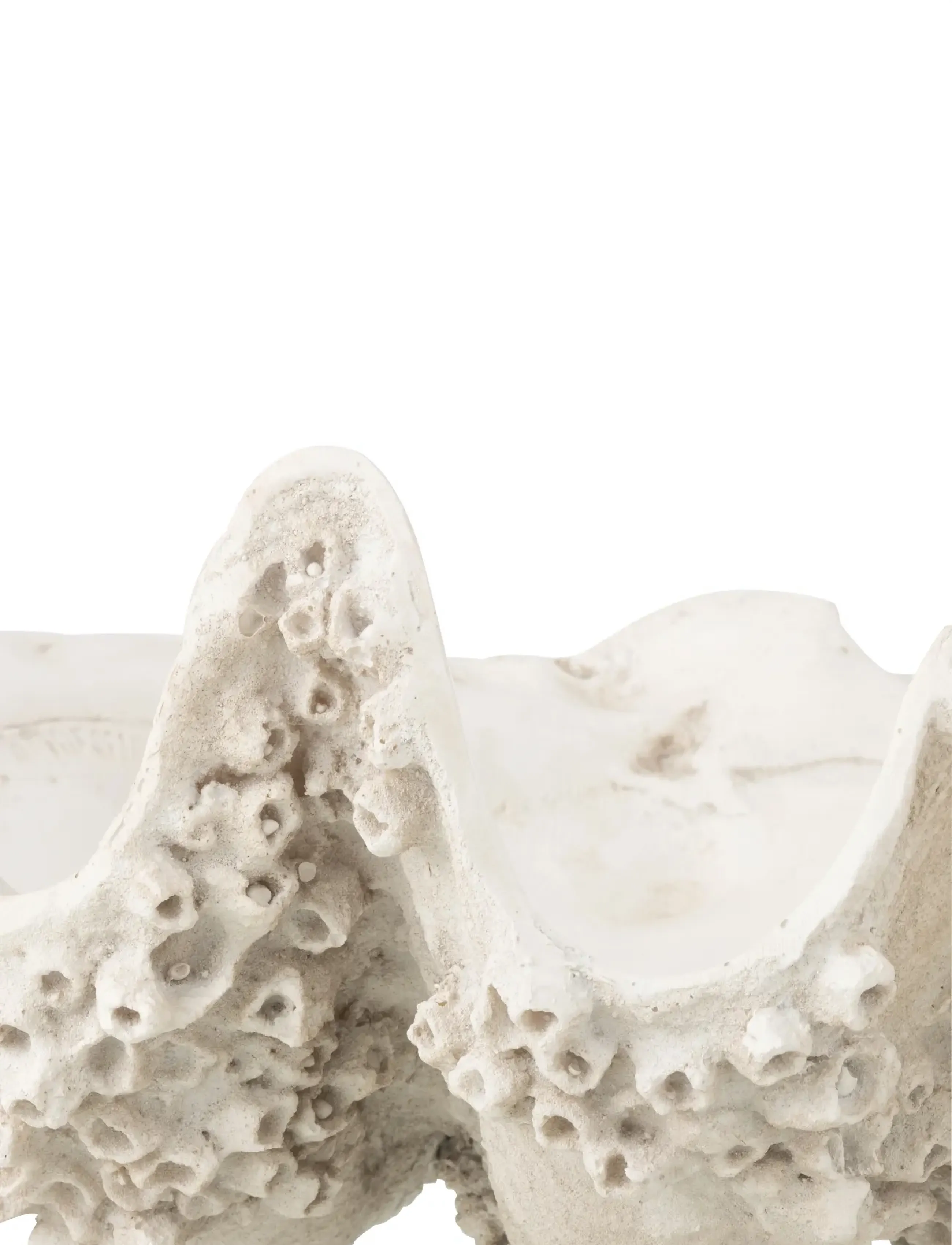J-Line - DECO BOWL SEASHELL RES WH S - dekorativa fat & skålar - white - 3