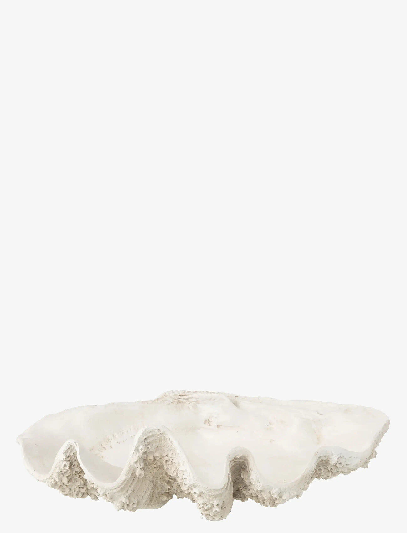 J-Line - DECO BOWL SEASHELL RES WH L - dekorative platter & skåle - white - 1
