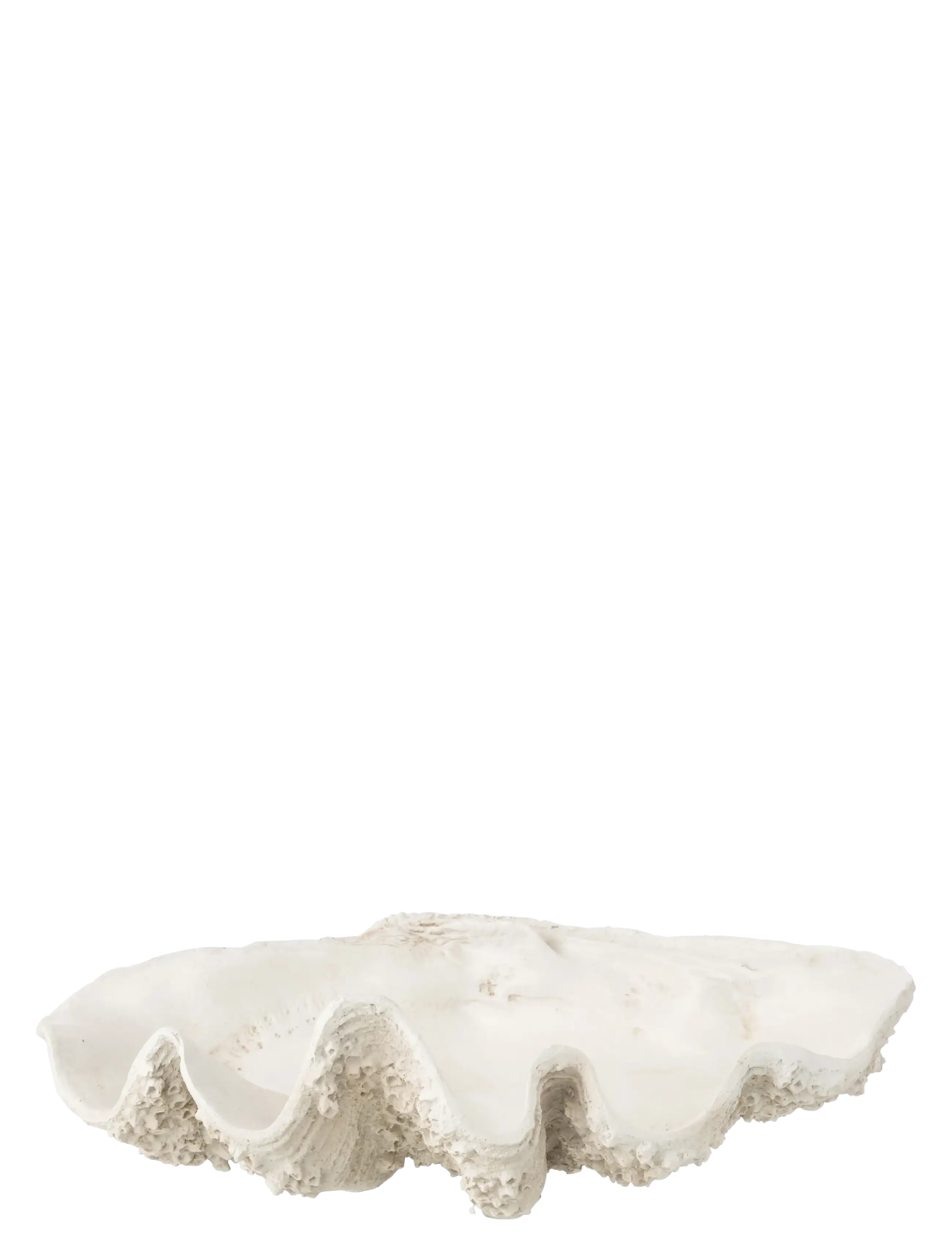 J-Line DECO BOWL SEASHELL RES WH L - Nyheter - WHITE / white