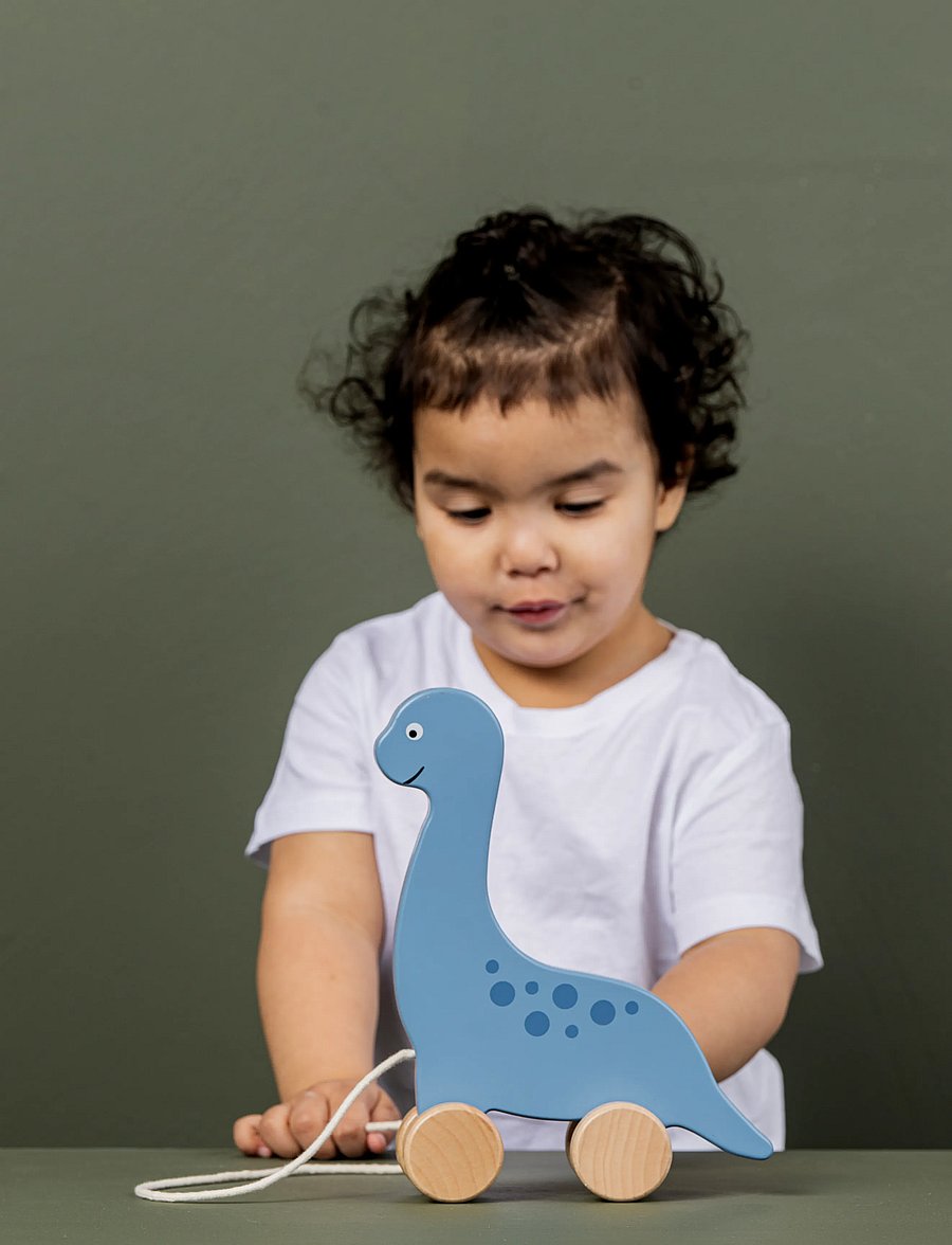 JaBaDaBaDo - Pull Dino with string - tõmmatavad mänguasjad - blue - 0