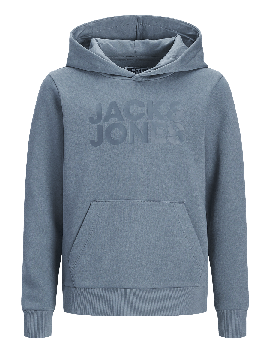 Jack & Jones - JJECORP LOGO SWEAT HOOD NOOS JNR - kapuzenpullover - blue mirage - 1
