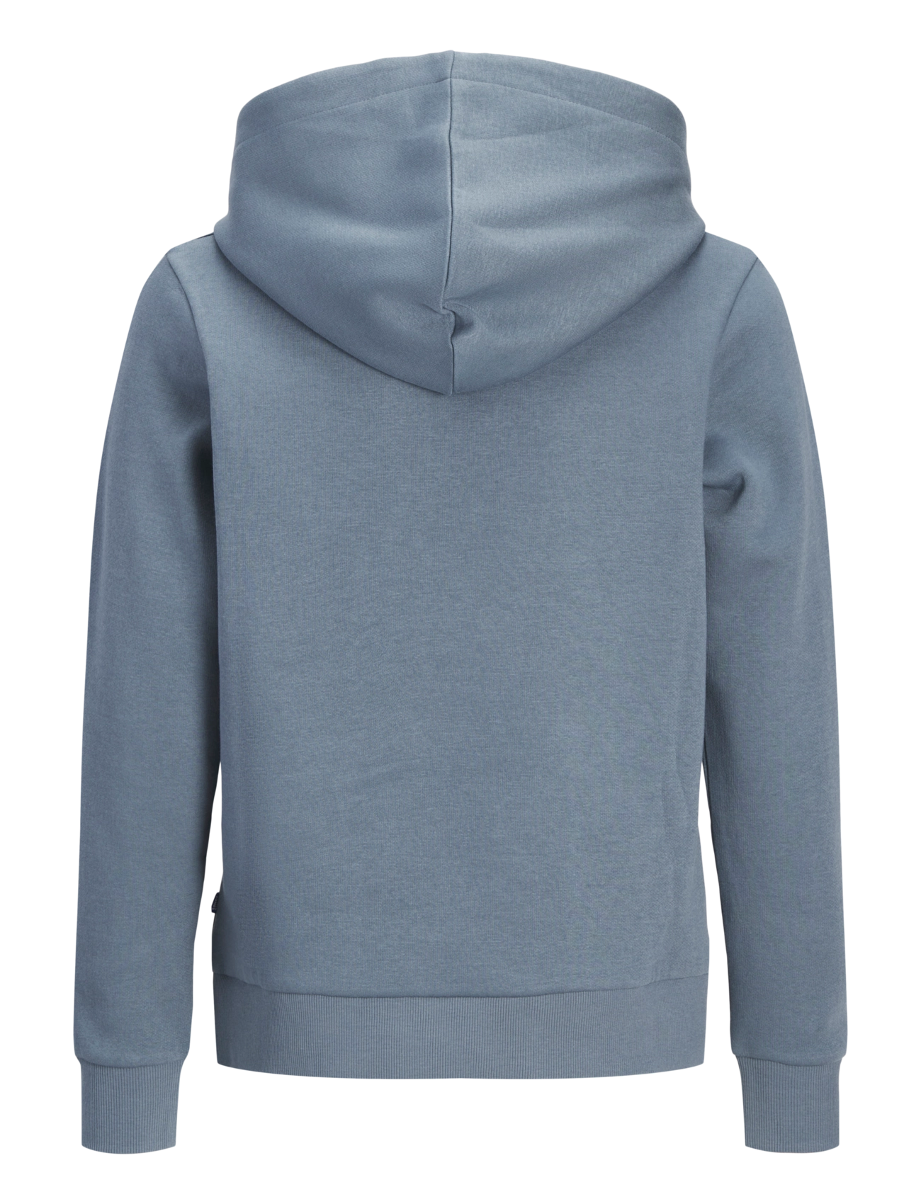 Jack & Jones - JJECORP LOGO SWEAT HOOD NOOS JNR - kapuzenpullover - blue mirage - 2