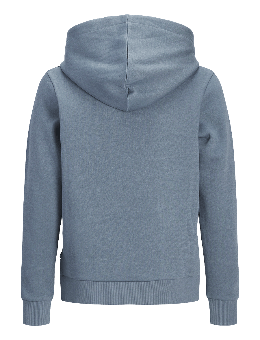 Jack & Jones - JJECORP LOGO SWEAT HOOD NOOS JNR - kapuzenpullover - blue mirage - 2