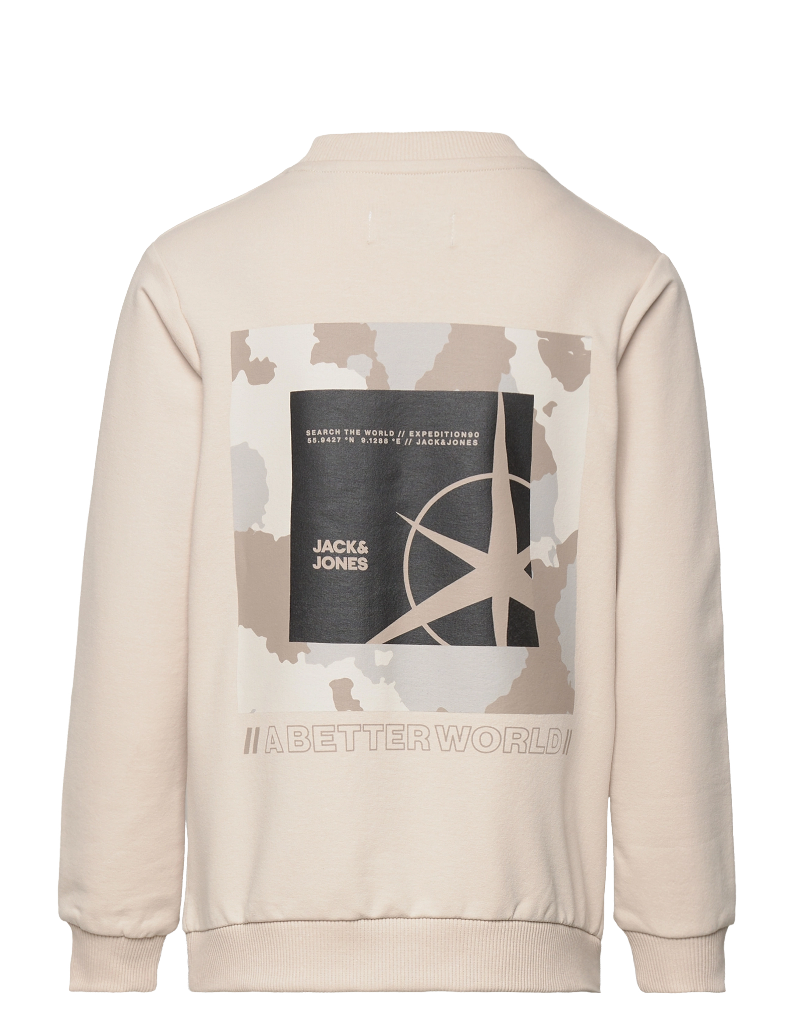 Jack & Jones - JCOFILO SWEAT CREW NECK SN JNR - moonbeam - 1