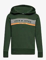 Jack & Jones - JJALEX SWEAT HOOD JNR - džemperi ar kapuci - mountain view - 0