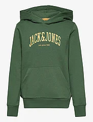 Jack & Jones - JJEJOSH SWEAT HOOD SN JNR - hoodies - dark green - 0
