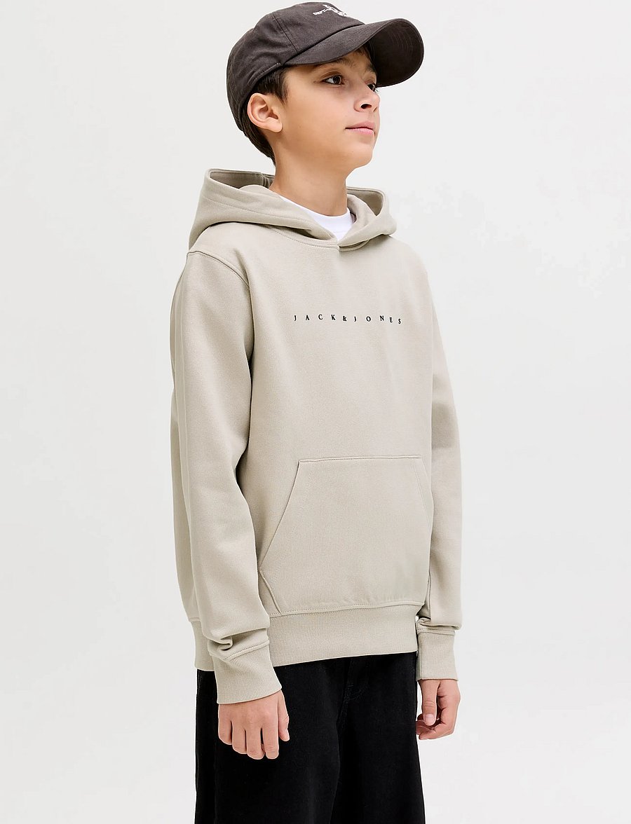 Jack & Jones - JJESTAR JJ SWEAT HOOD NOOS JNR - kapuzenpullover - moonbeam - 0