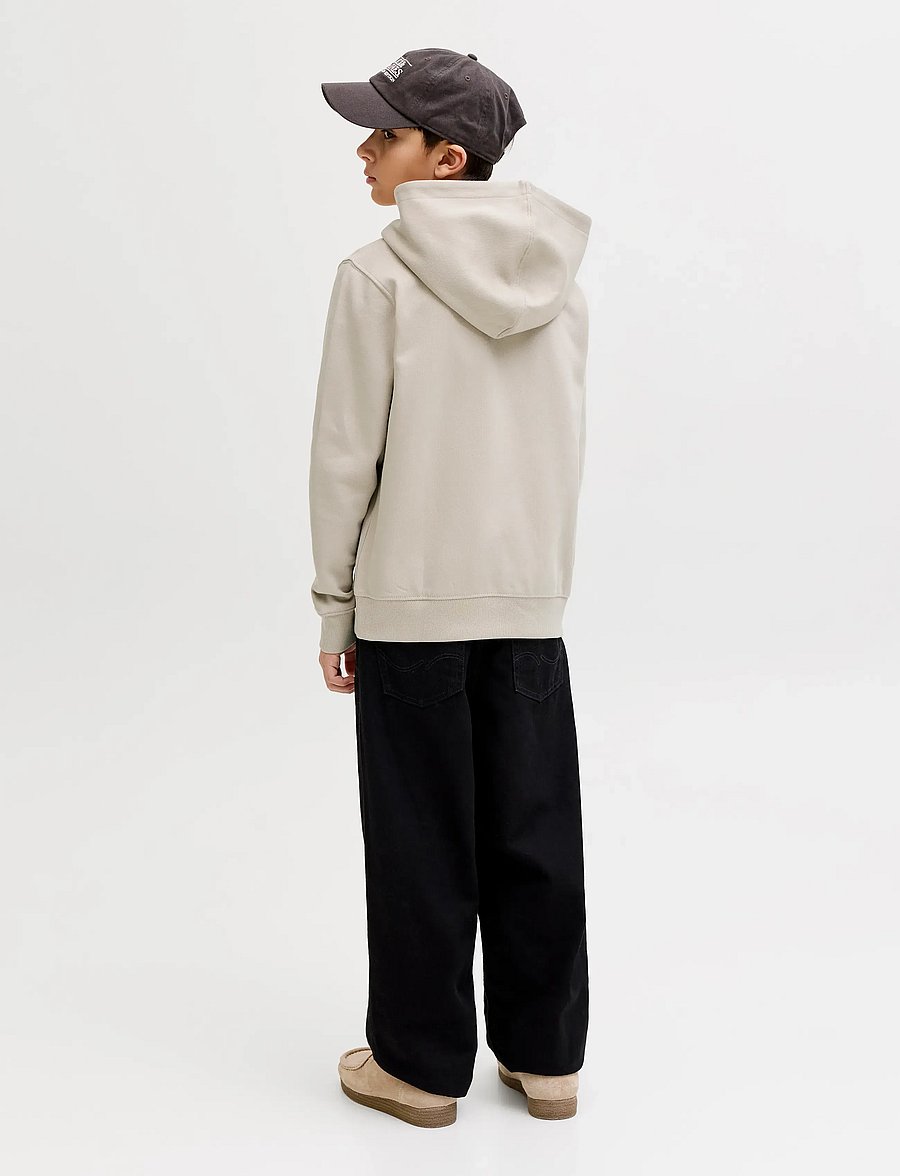 Jack & Jones - JJESTAR JJ SWEAT HOOD NOOS JNR - kapuzenpullover - moonbeam - 2