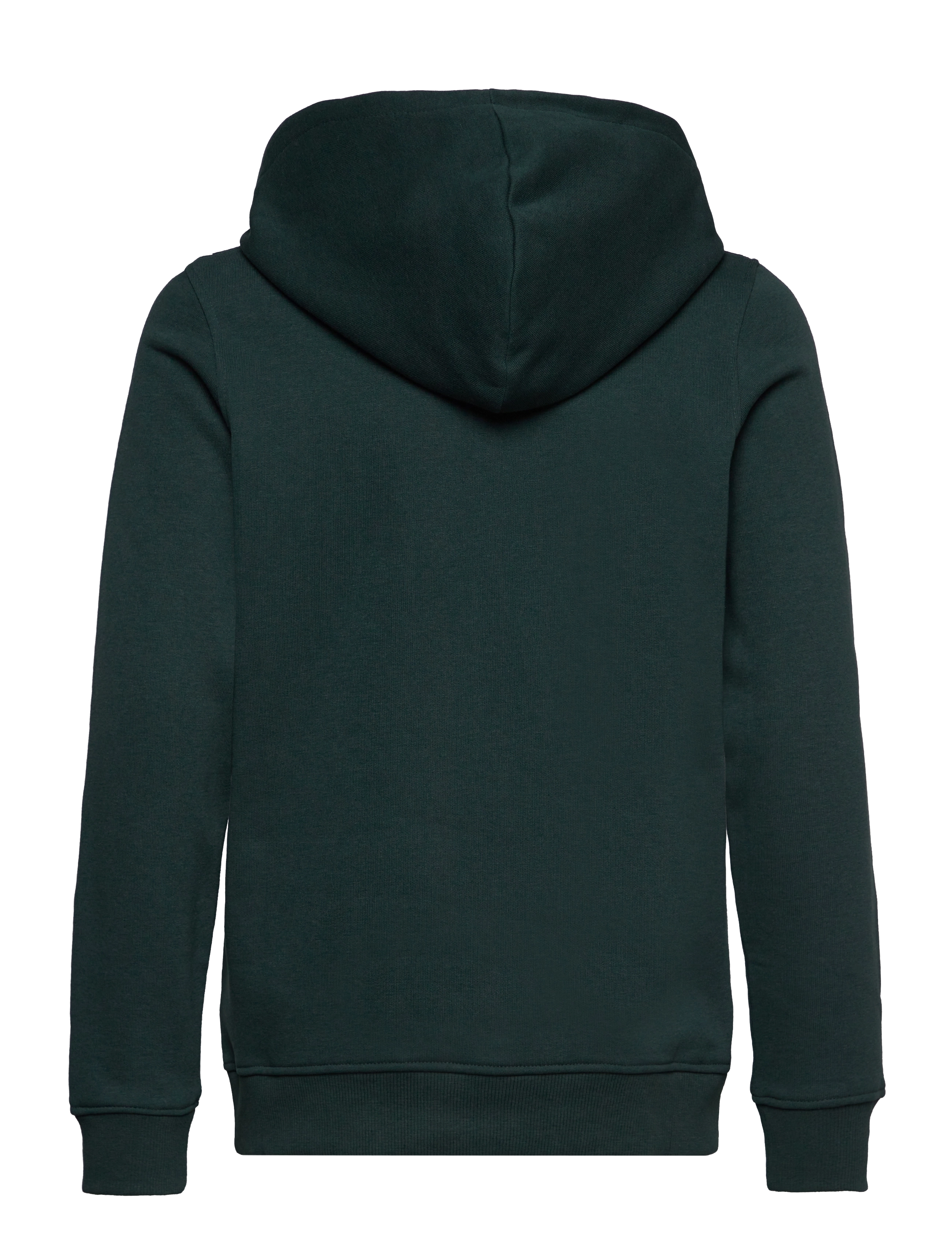 Jack & Jones - JORARTHUR SWEAT HOOD SN JNR - magical forest - 1