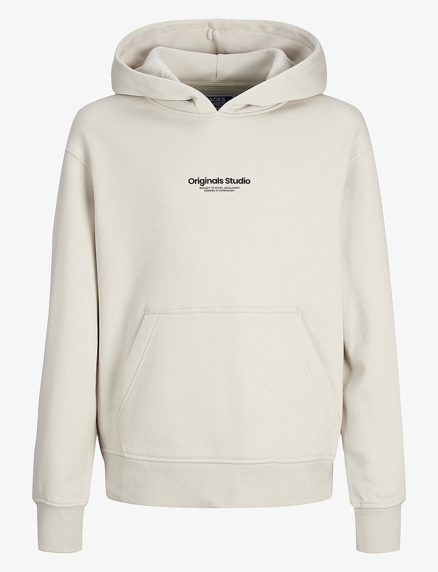 Jack & Jones - JORVESTERBRO SWEAT HOOD NOOS JNR - kapuzenpullover - moonbeam - 1