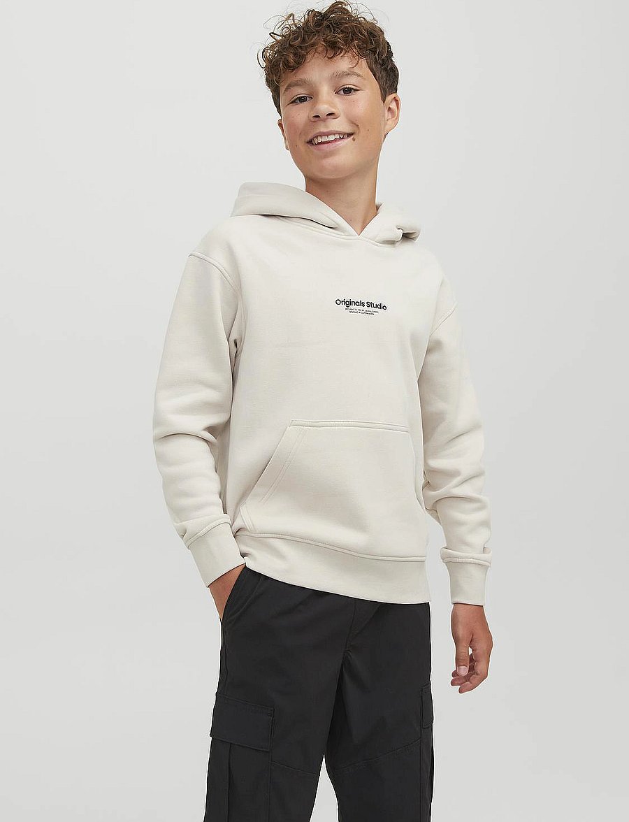 Jack & Jones - JORVESTERBRO SWEAT HOOD NOOS JNR - kapuzenpullover - moonbeam - 0