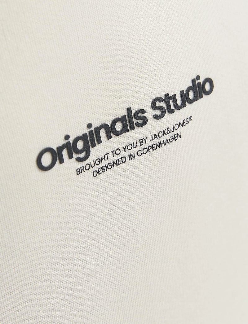 Jack & Jones - JORVESTERBRO SWEAT HOOD NOOS JNR - kapuutsiga dressipluusid - moonbeam - 5