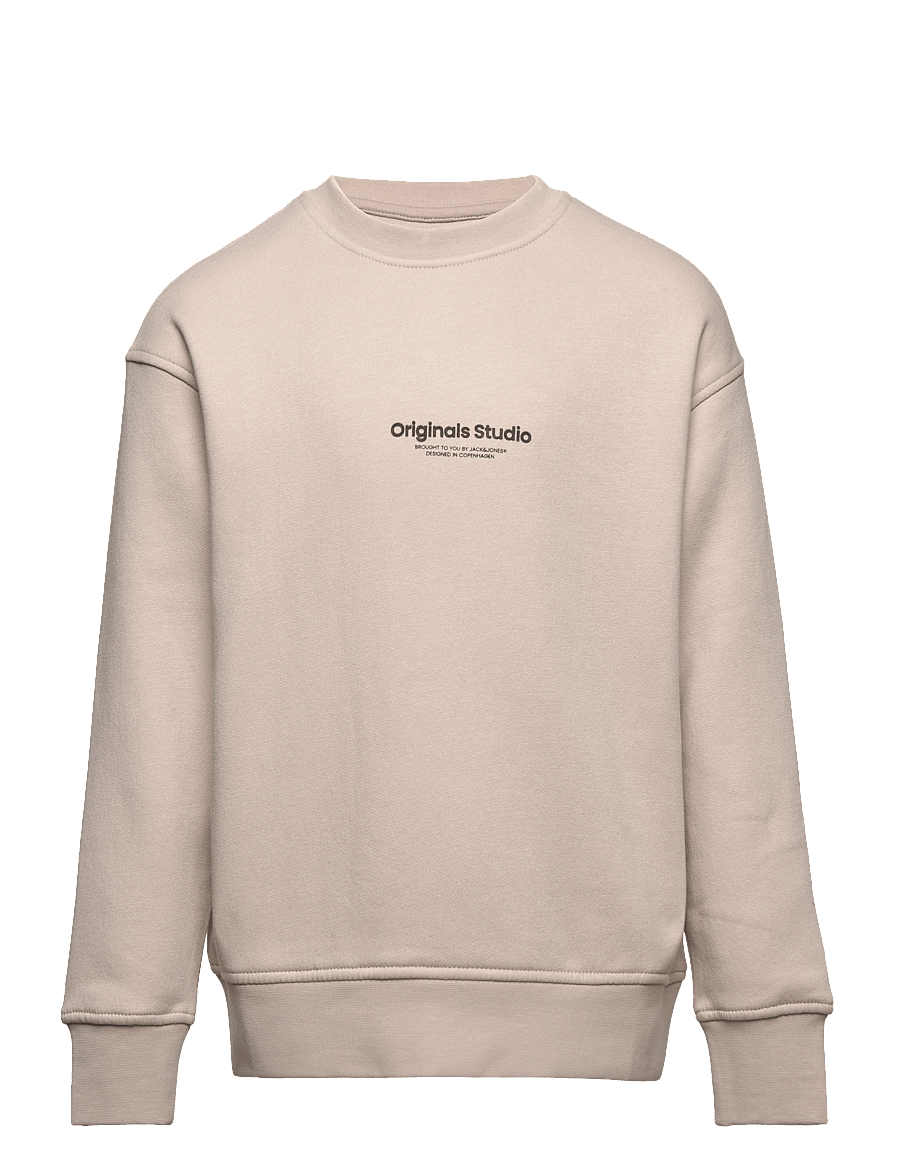 Jack & Jones - JORVESTERBRO SWEAT CREW NECK NOOS JNR - moonbeam - 1
