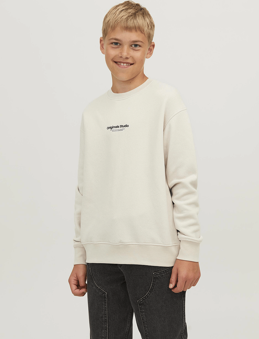 Jack & Jones - JORVESTERBRO SWEAT CREW NECK NOOS JNR - moonbeam - 0
