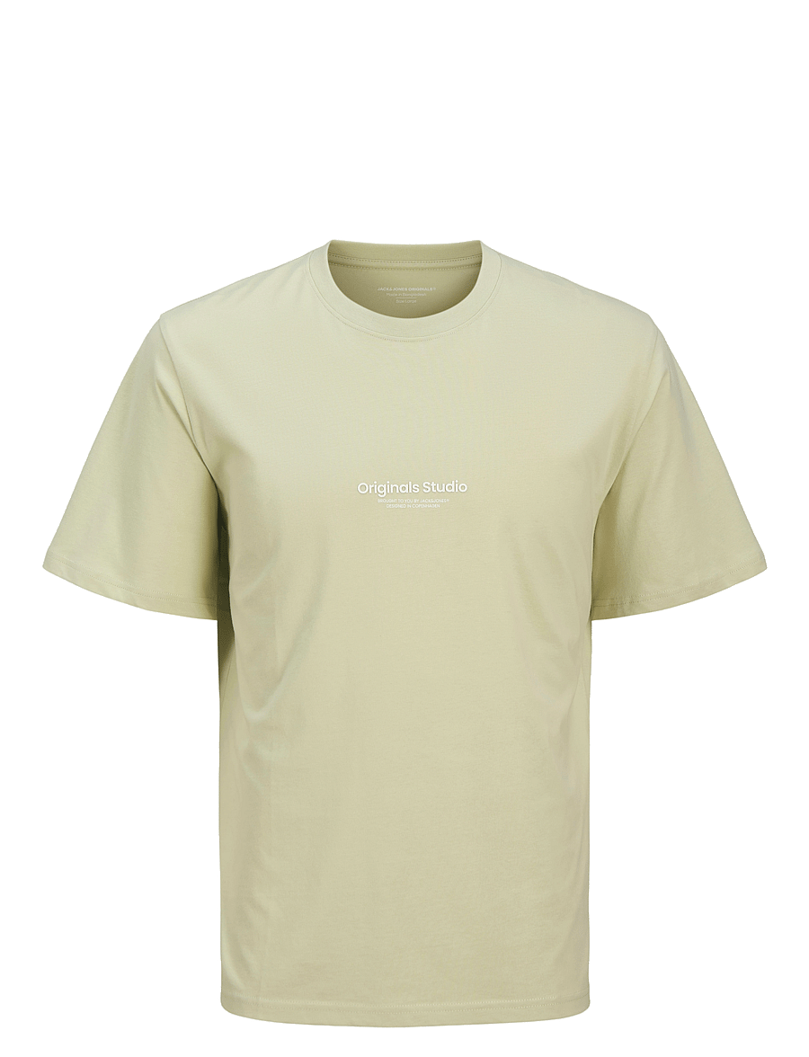 Jack & Jones - JORVESTERBRO TEE SS CREW NECK NOOS JNR - celadon tint - 1