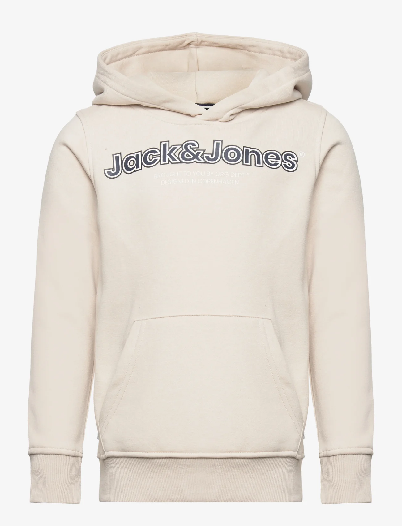 Jack & Jones - JORLAKEWOOD SWEAT HOOD BF JNR - hoodies - moonbeam - 0