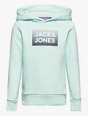 Jack & Jones - JJJJSTEEL SWEAT HOODSTEEL SWEAT HOOD JNR - džemperi ar kapuci - soothing sea - 0