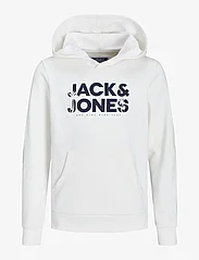 Jack & Jones - JJEMBRO PALM SWEAT HOOD JNR - hoodies - cloud dancer - 0