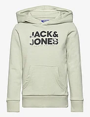 Jack & Jones - JJEMBRO PALM SWEAT HOOD JNR - hoodies - desert sage - 0