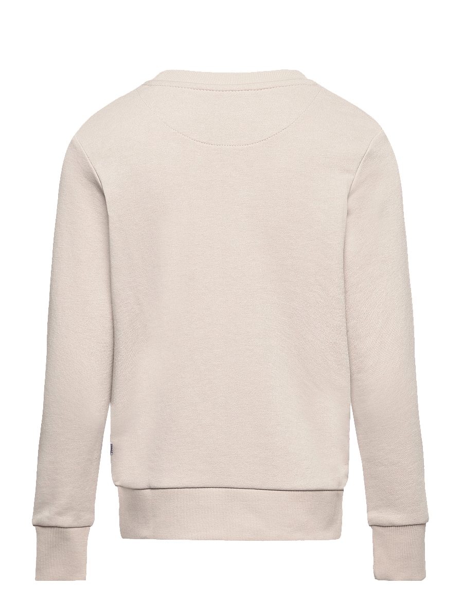 Jack & Jones - JJEBRADLEY SWEAT CREW NOOS JNR - sweatshirts - moonbeam - 2