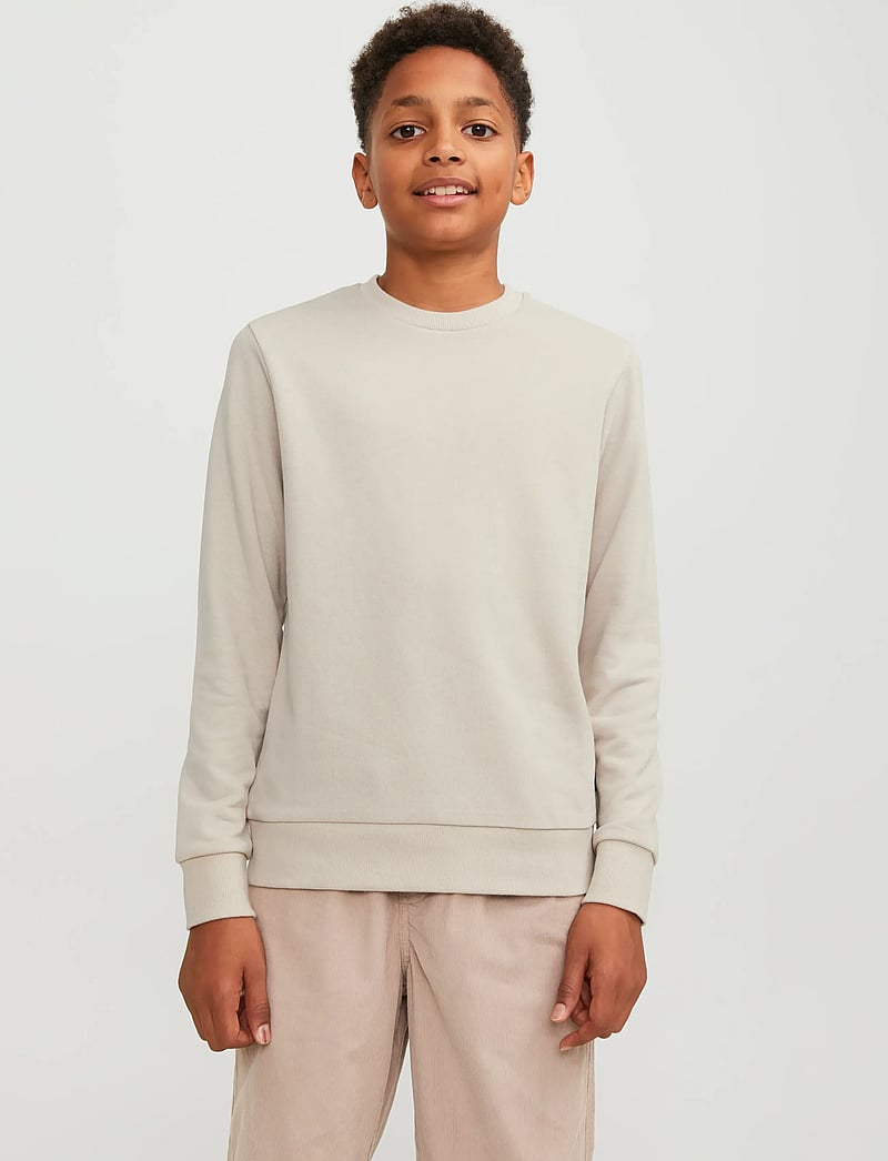 Jack & Jones - JJEBRADLEY SWEAT CREW NOOS JNR - dressipluusid - moonbeam - 0