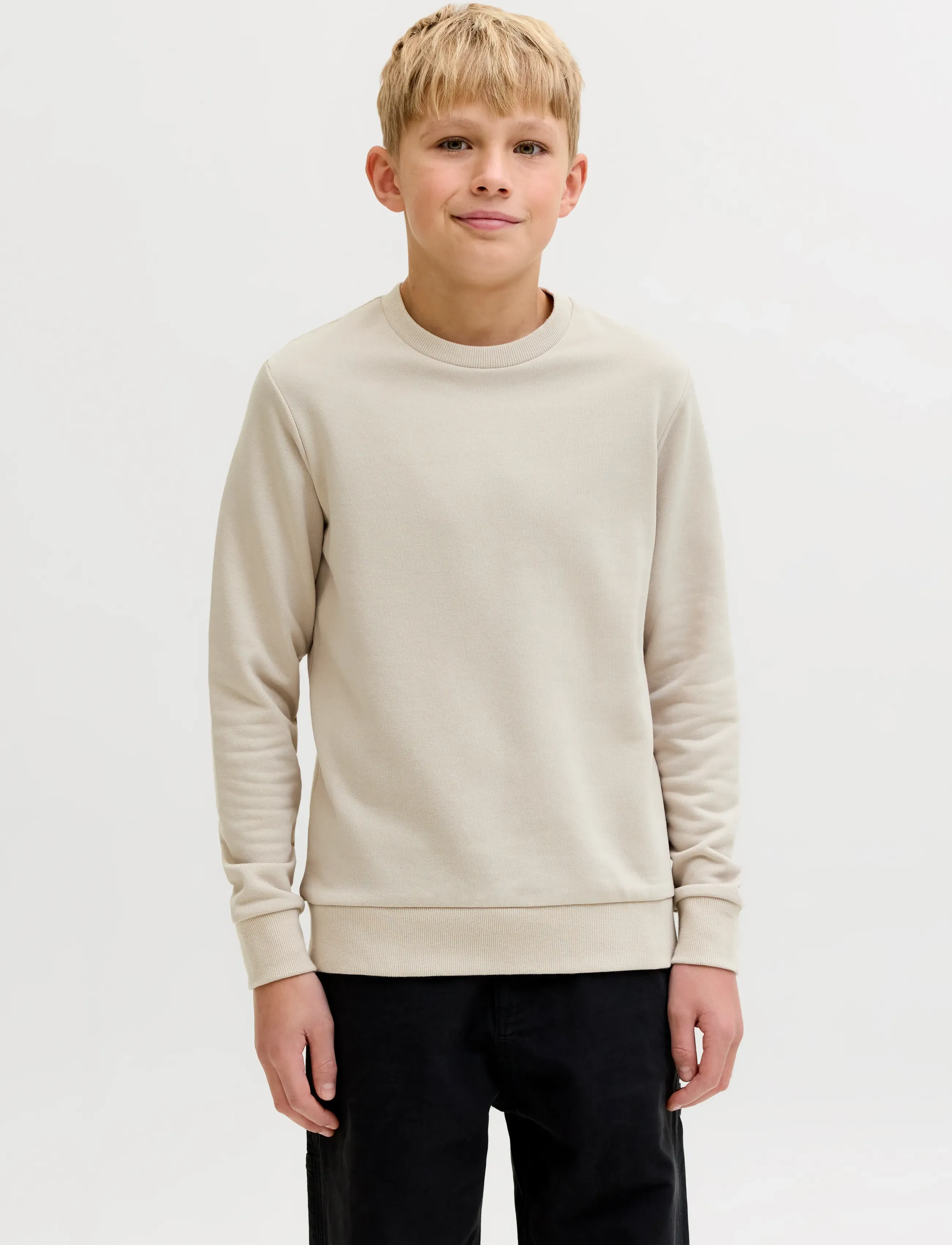 Jack & Jones JJEBRADLEY SWEAT CREW NOOS JNR - Sweatshirts - MOONBEAM / cream