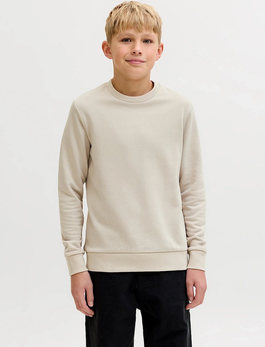 Jack & Jones - JJEBRADLEY SWEAT CREW NOOS JNR - sweatshirts - moonbeam - 0