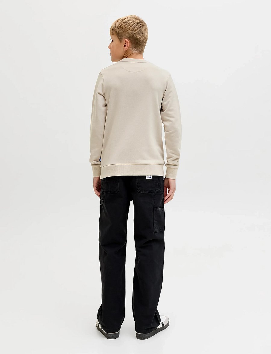 Jack & Jones - JJEBRADLEY SWEAT CREW NOOS JNR - sweatshirts - moonbeam - 3